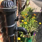Guest house Yarm The Byre Sleeping 4 Next To Fox Covert Pub 3*
