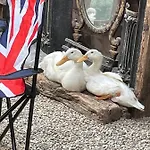 Pensión Yarm The Byre Sleeping 4 Next To Fox Covert Pub
