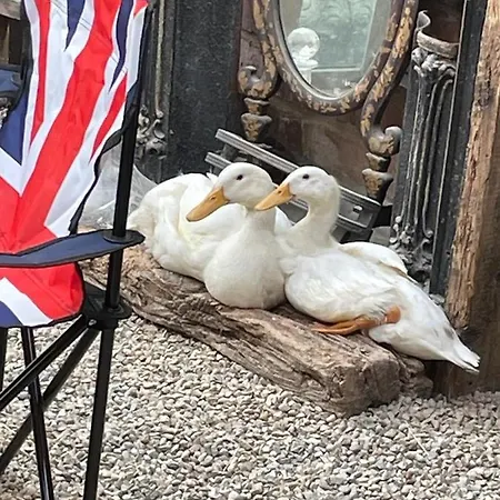 Maison d'hôtes Yarm The Byre Sleeping 4